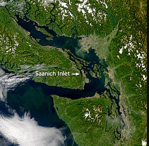 SeaWiFS image of Vancouver Island,
featuring Saanich Inlet